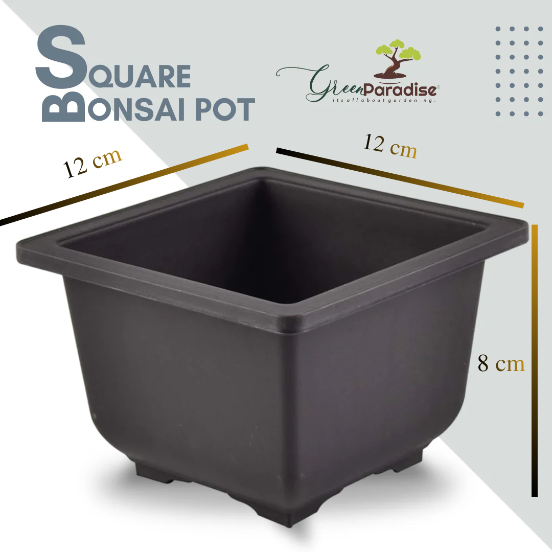 Green Paradise® Bonsai Pots Plastic Bonsai Training Pots (Square )(purple clay color)