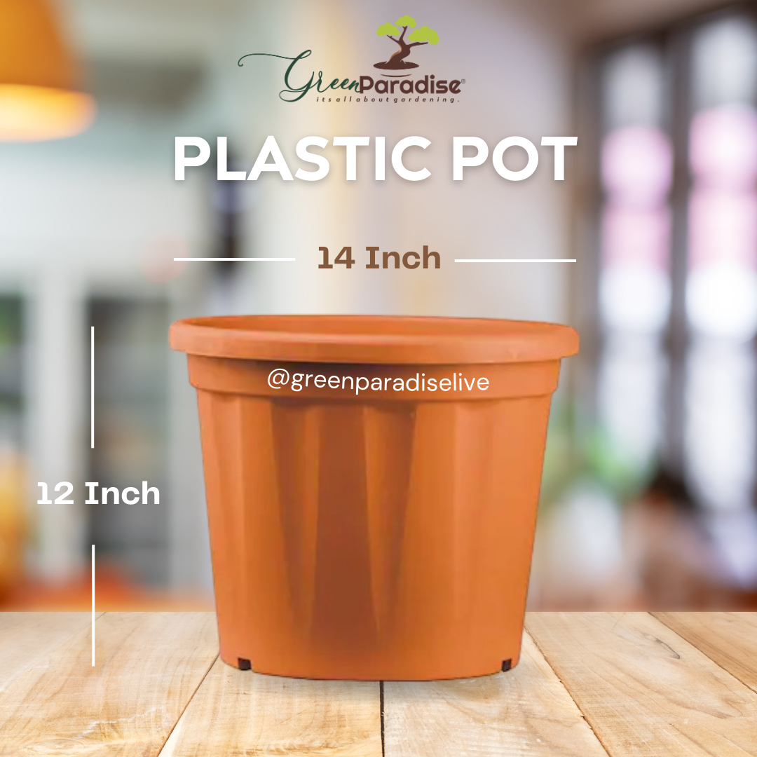 Green Paradise Premium Plastic Pots Durable and Eco-Friendly Plant Container for Healthy Growth