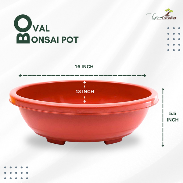 Green Paradise® Oval Bonsai Pots Premium Plastic Pot Durable & Long Lasting Pot