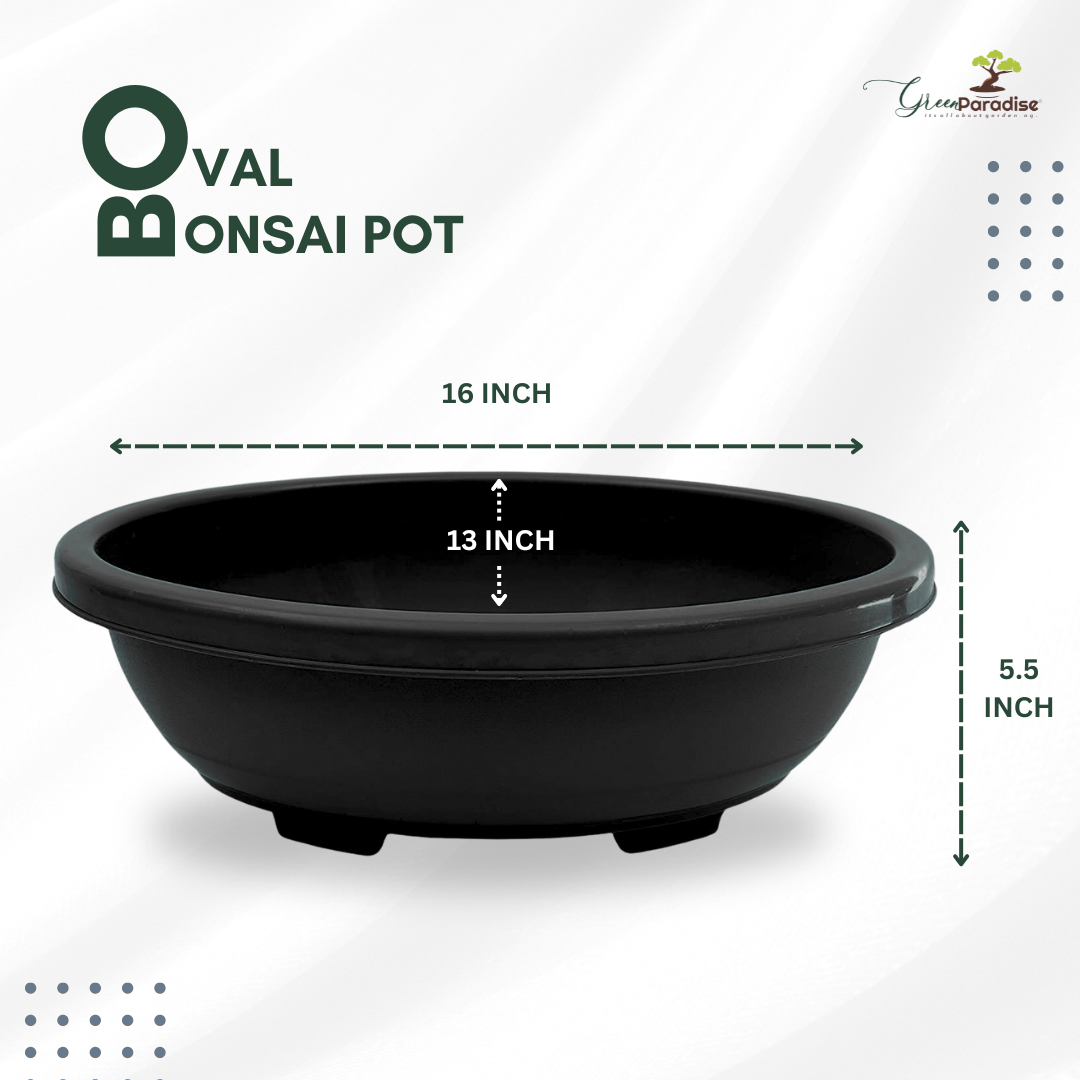 Green Paradise® Oval Bonsai Pots Premium Plastic Pot Durable & Long Lasting Pot