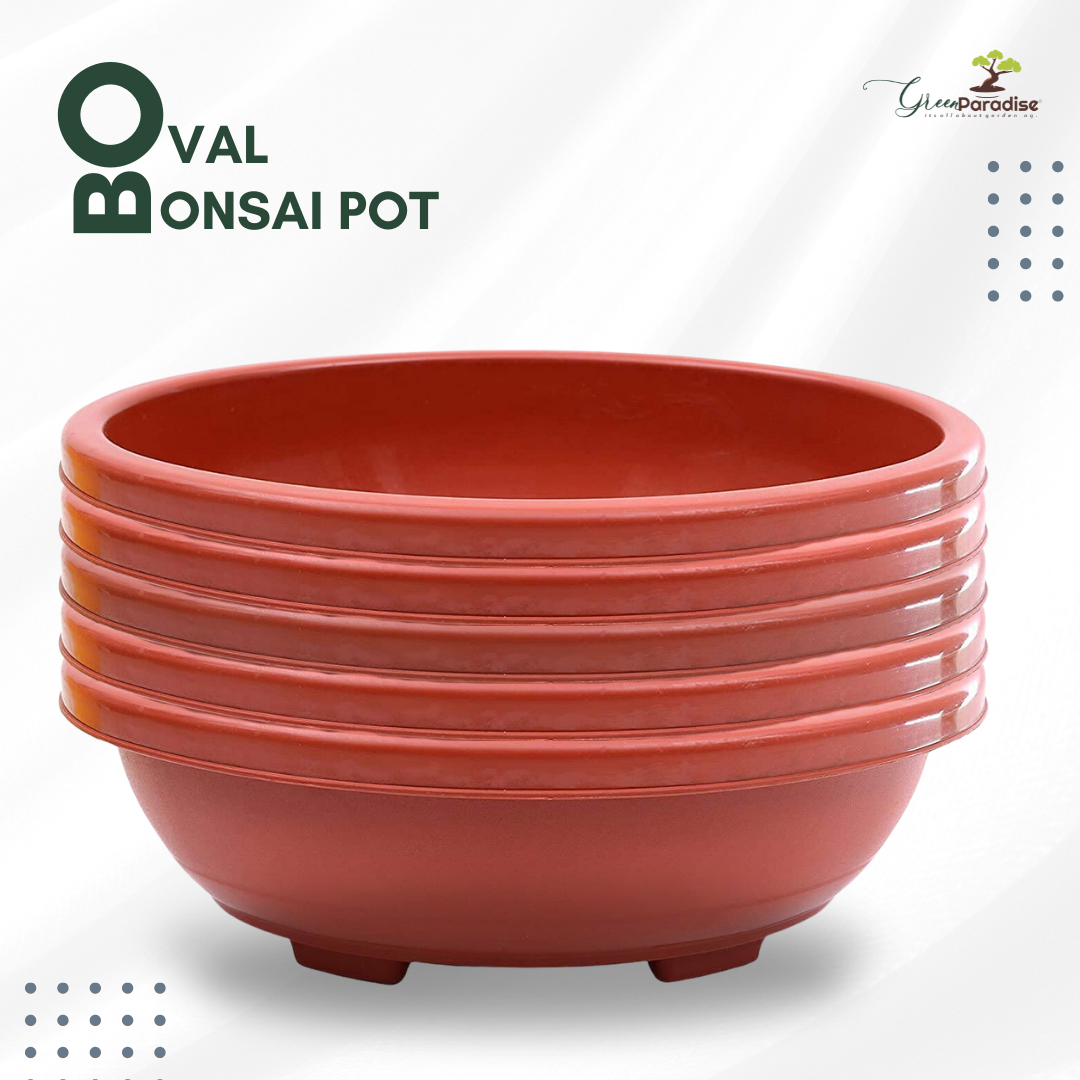 Green Paradise® Oval Bonsai Pots Premium Plastic Pot Durable & Long Lasting Pot