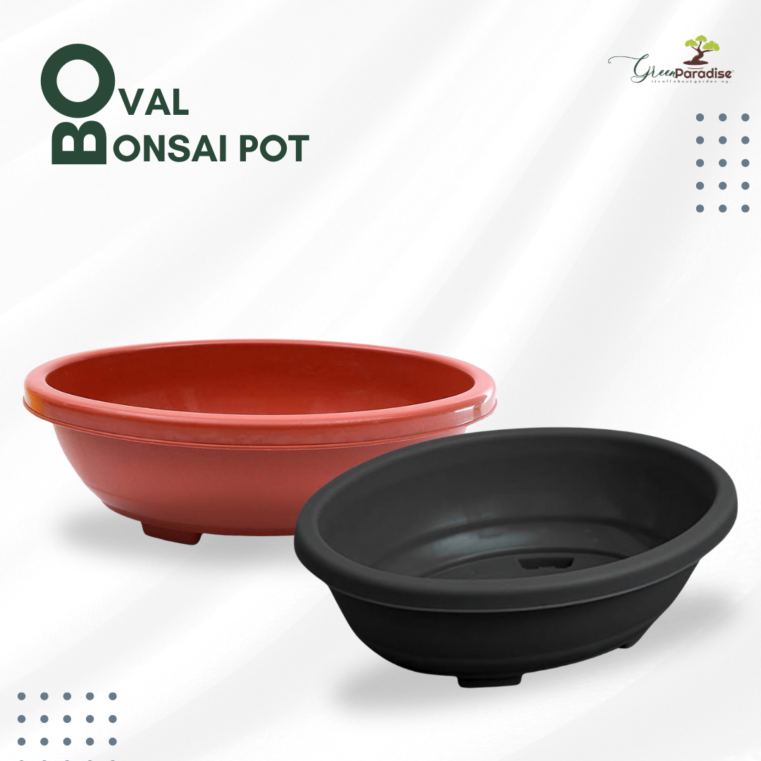 Green Paradise® Oval Bonsai Pots Premium Plastic Pot Durable & Long Lasting Pot