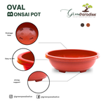 Green Paradise® Oval Bonsai Pots Premium Plastic Pot Durable & Long Lasting Pot