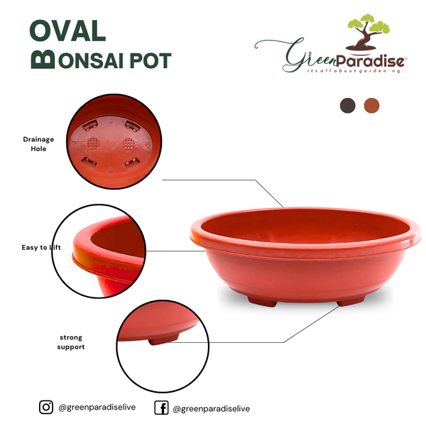 Green Paradise® Oval Bonsai Pots Premium Plastic Pot Durable & Long Lasting Pot