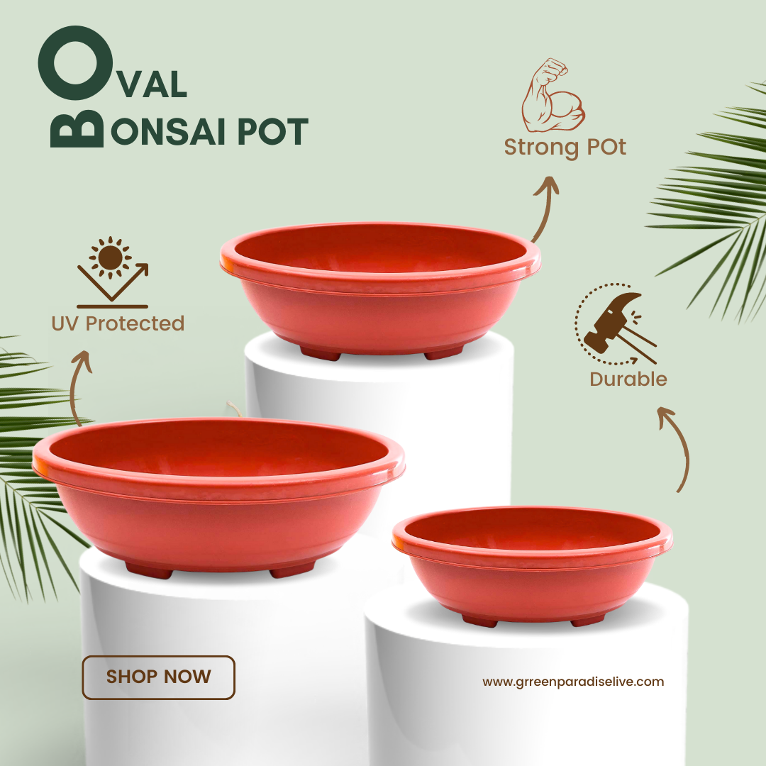 Green Paradise® Oval Bonsai Pots Premium Plastic Pot Durable & Long Lasting Pot