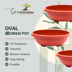 Green Paradise® Oval Bonsai Pots Premium Plastic Pot Durable & Long Lasting Pot
