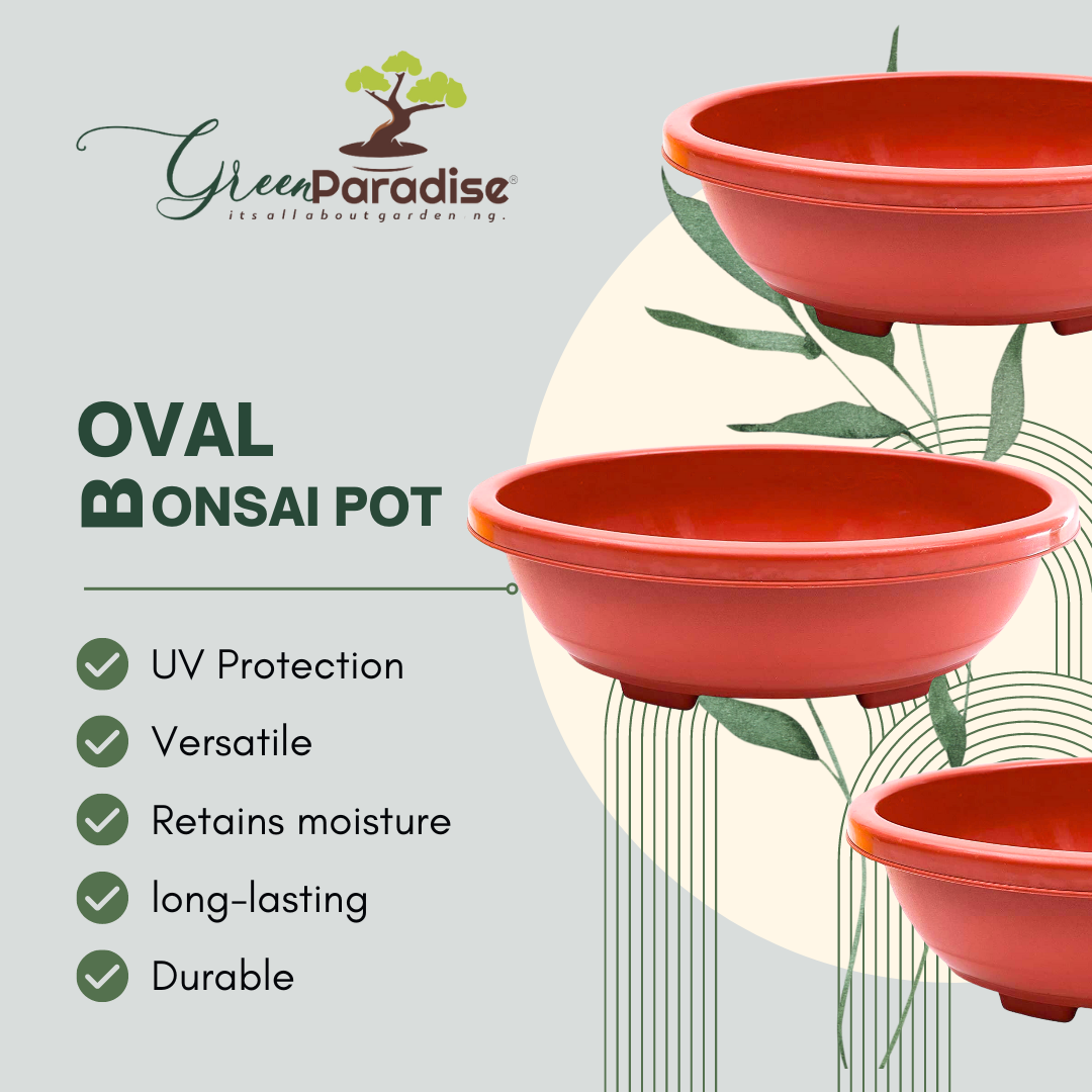 Green Paradise® Oval Bonsai Pots Premium Plastic Pot Durable & Long Lasting Pot