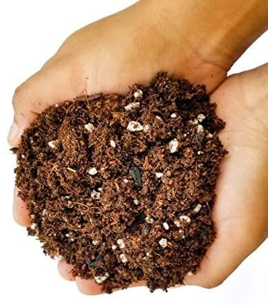 Ready To Use Soil Mix Containing Coco Peat Perlite Vermiculite Expanded Clay Balls And Neem Powder  Multi Purpose Soil Mix Suitable For All Plants 5 kg