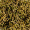 Sphagnum Moss 900 grms for Orchid Plant Soil,air layering and mulching 900 grms (greenish multicolor))