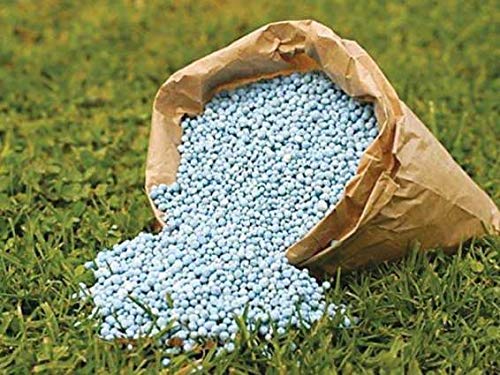 All Purpose DAP Fertilizer for Home and Garden Plants- 5 kg
