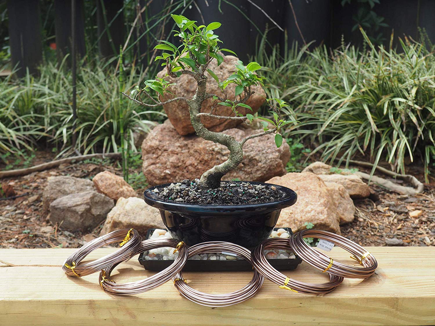 Plant Shape Bonsai Training Wire Black Bonsai Wire Gardening - Temu