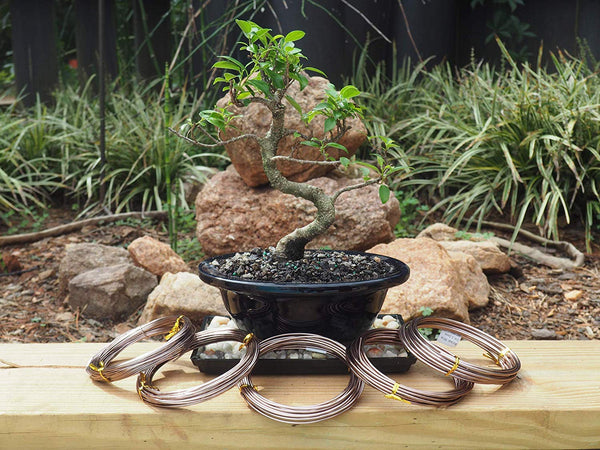 Bonsai Training Aluminum Wires 1000g Size: 2mm