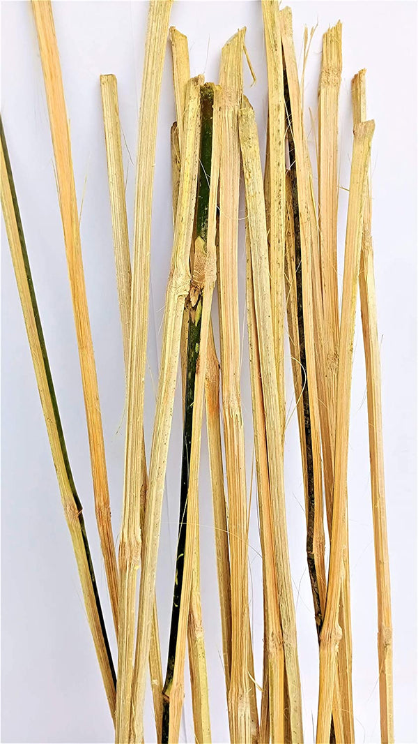 Bamboo Sticks for Plants Support (Set of 20) Sticks Size 3ft Used to Support Climbers Money Plant & Other Saplings