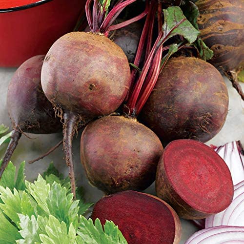 Beetroot Seeds