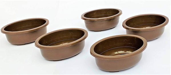 Green Paradise® Oval Bonsai Pot(  Set of 5 ) | 5.5 Inch Plastic Bonsai Training Pots | Purple Clay Color Small Planters for Indoor & Outdoor Plants