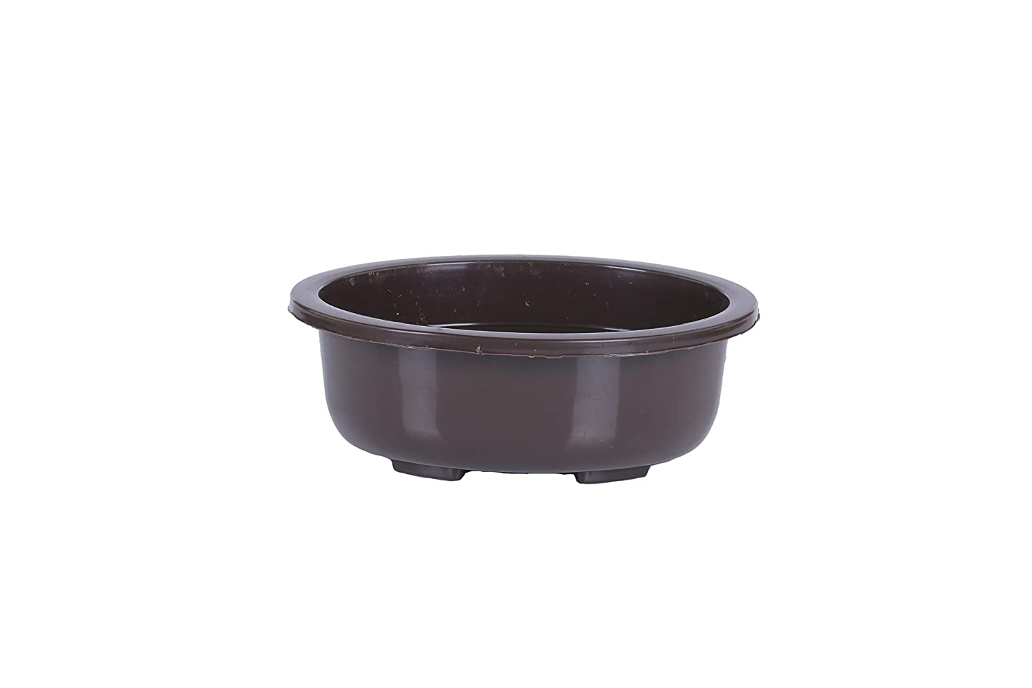Bonsai Pots 5.5'' oval suitable for small bonsai, succulents, adeniums and cactus(Pack of 5)