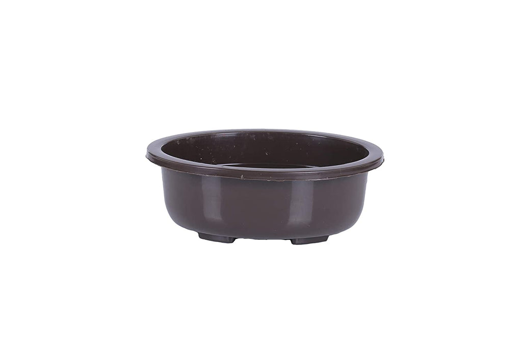 Green Paradise® Oval Bonsai Pot(  Set of 5 ) | 5.5 Inch Plastic Bonsai Training Pots | Purple Clay Color Small Planters for Indoor & Outdoor Plants