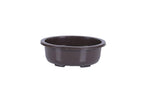 Green Paradise® Oval Bonsai Pot(  Set of 5 ) | 5.5 Inch Plastic Bonsai Training Pots | Purple Clay Color Small Planters for Indoor & Outdoor Plants
