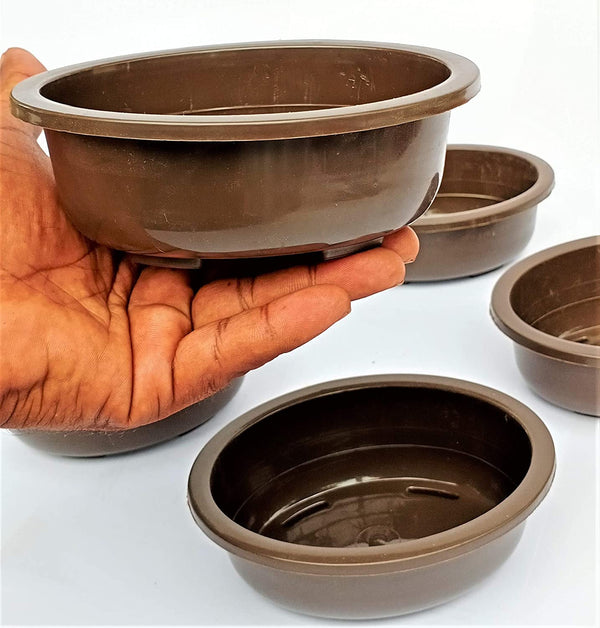 Green Paradise® Oval Bonsai Pot(  Set of 5 ) | 5.5 Inch Plastic Bonsai Training Pots | Purple Clay Color Small Planters for Indoor & Outdoor Plants