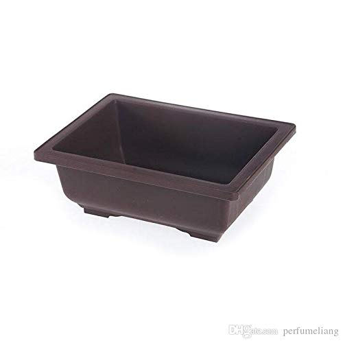 Bonsai Pots rectangle(Brown) (Pack of 3) 21cm (L) x 8 cm(H)  ideal for bonsai trees,succulents and adeniums