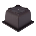 Green Paradise® Bonsai Pots Plastic Bonsai Training Pots (Square )(purple clay color)