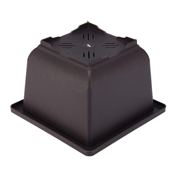 Green Paradise® Bonsai Pots Plastic Bonsai Training Pots (Square )(purple clay color)