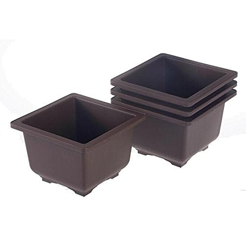 Bonsai Pots square 20 cm (Brown) (Pack of 5)  (L & W)) x 13.5 cm(H) ideal for bonsai trees,succulents and adeniums