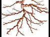 Bonsai Training Wire 3-Size Starter Set 150 Feet Anodized Aluminium  (1mm, 1.5 mm, 2.0 mm, Each 50 ft, Copper Color)