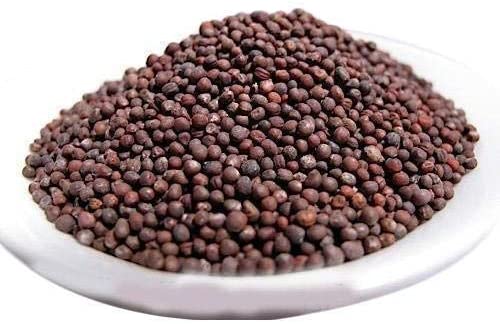 Green Paradise® Cabbage Seeds