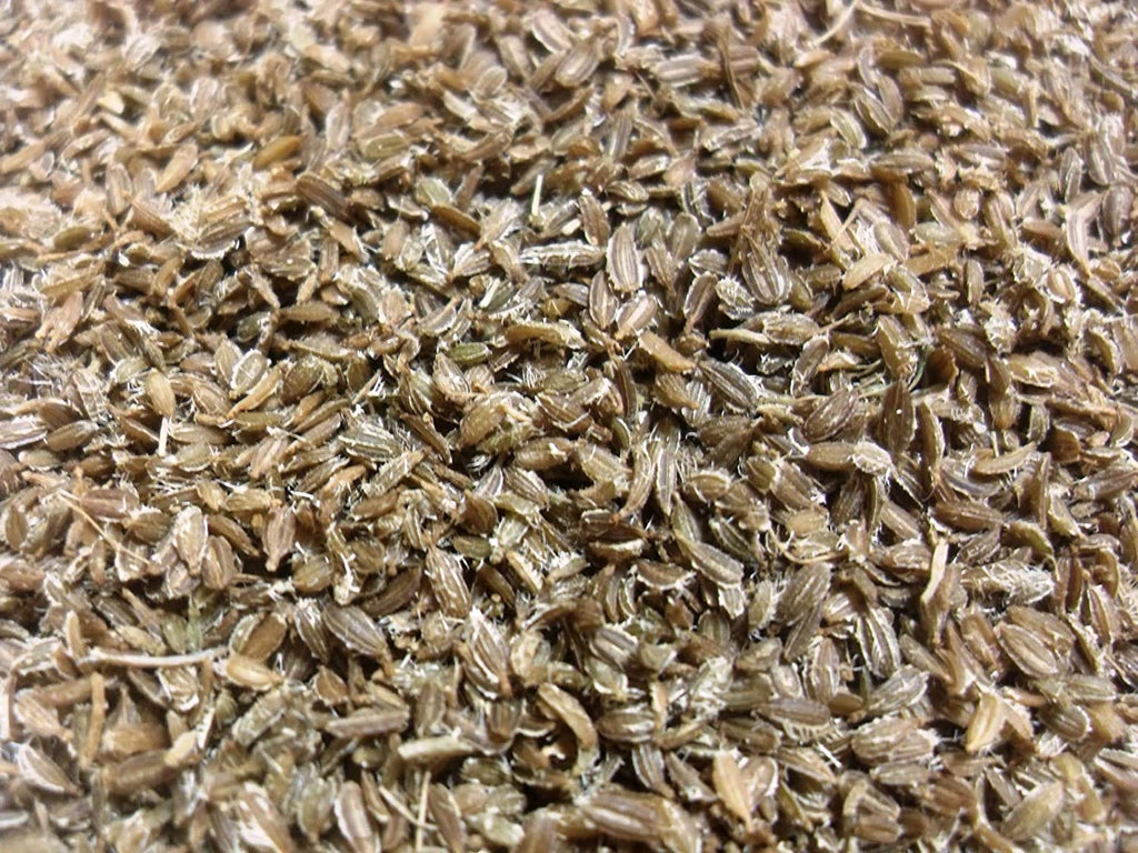 Green Paradise® Carrot Seeds