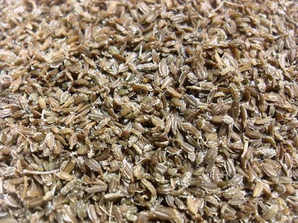 Green Paradise® Carrot Seeds