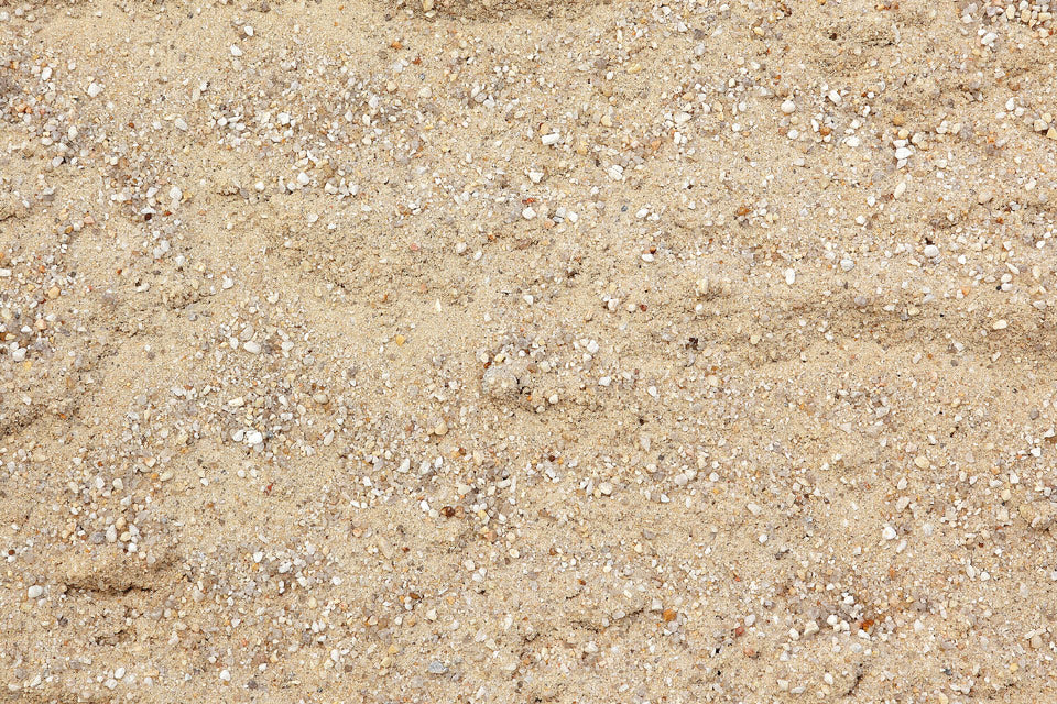 Natural River Sand White Sand (5 KG) Used to Make Ideal soilmix for Bonsai Cactus and Succulents Also for Aquariums terrariums Mini Landscapes and fairygarden (5 KG)