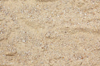 Green Paradise Natural River Sand White Sand (3 KG) Used to Make Ideal soilmix for Bonsai Cactus and Succulents Also for Aquariums terrariums Mini Landscapes and fairygarden (3 KG)