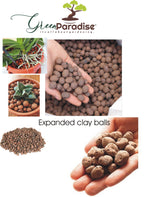 Green Paradise Expanded Clay Balls 3 Litres  Clay Balls, Hydrotons, Lightweight Expanded Clay Aggregate (LECA) for Hydroponics, Aeroponics & Aquaponics, Size-8-15mm