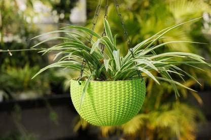 Flower Pot Hanging Basket with Hook Chain for Home Garden Office Balcony Grower Planter-Size 6 Inch