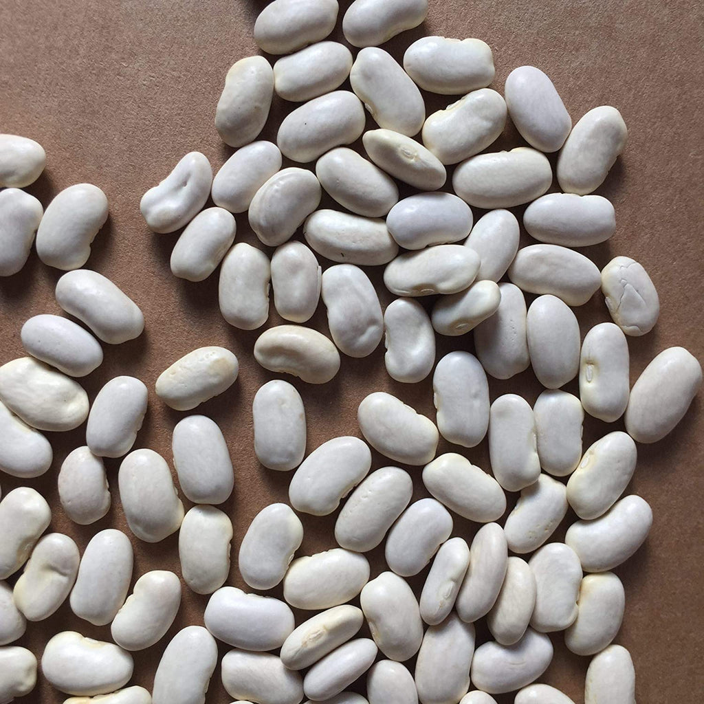 French Bean Seeds (Pack Of 10 Seeds)