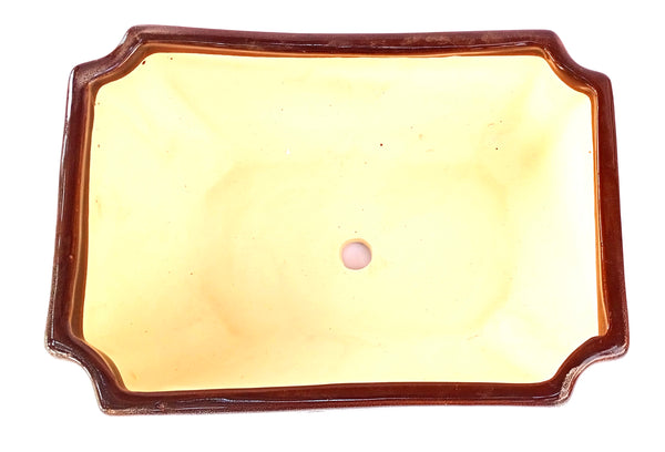 Ceramic Pot for Bonsai Trees Size 24 cm Rectangle Shape