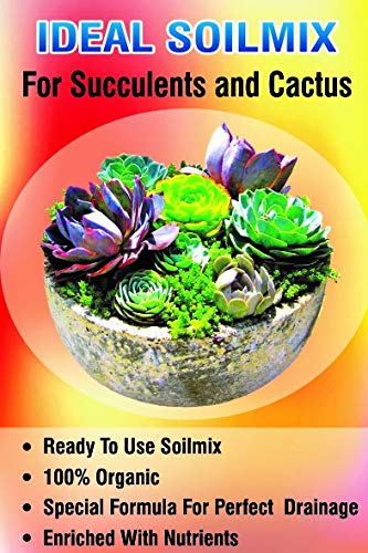 Ideal succulents And Adenium soil mix (se of 2 packs)