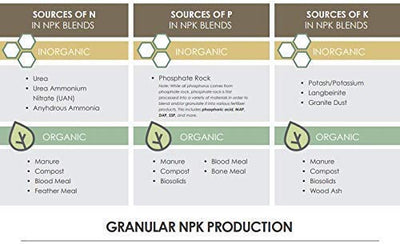 All Purpose Water Soluble NPK 19:19:19 Imported Fertilizer (0.5 KG)
