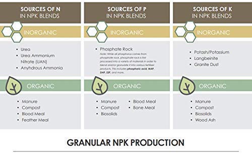 All Purpose Water Soluble NPK 19:19:19 Imported Fertilizer (0.5 KG)