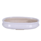 Green Paradise® Ceramic Pot Size 14'' Oval Shape for Bonsai Trees Succulents Fairy Gardens and Miniature Gardens Bonsai Planter