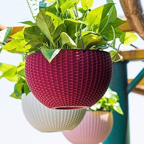Green Paradise® Plastic Flower Pot Hanging Basket With Hook Chain, Multicolour Size 8 Inch