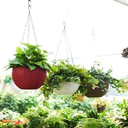 Green Paradise® Plastic Flower Pot Hanging Basket With Hook Chain, Multicolour Size 8 Inch