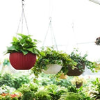 Green Paradise® Plastic Flower Pot Hanging Basket With Hook Chain, Multicolour Size 8 Inch