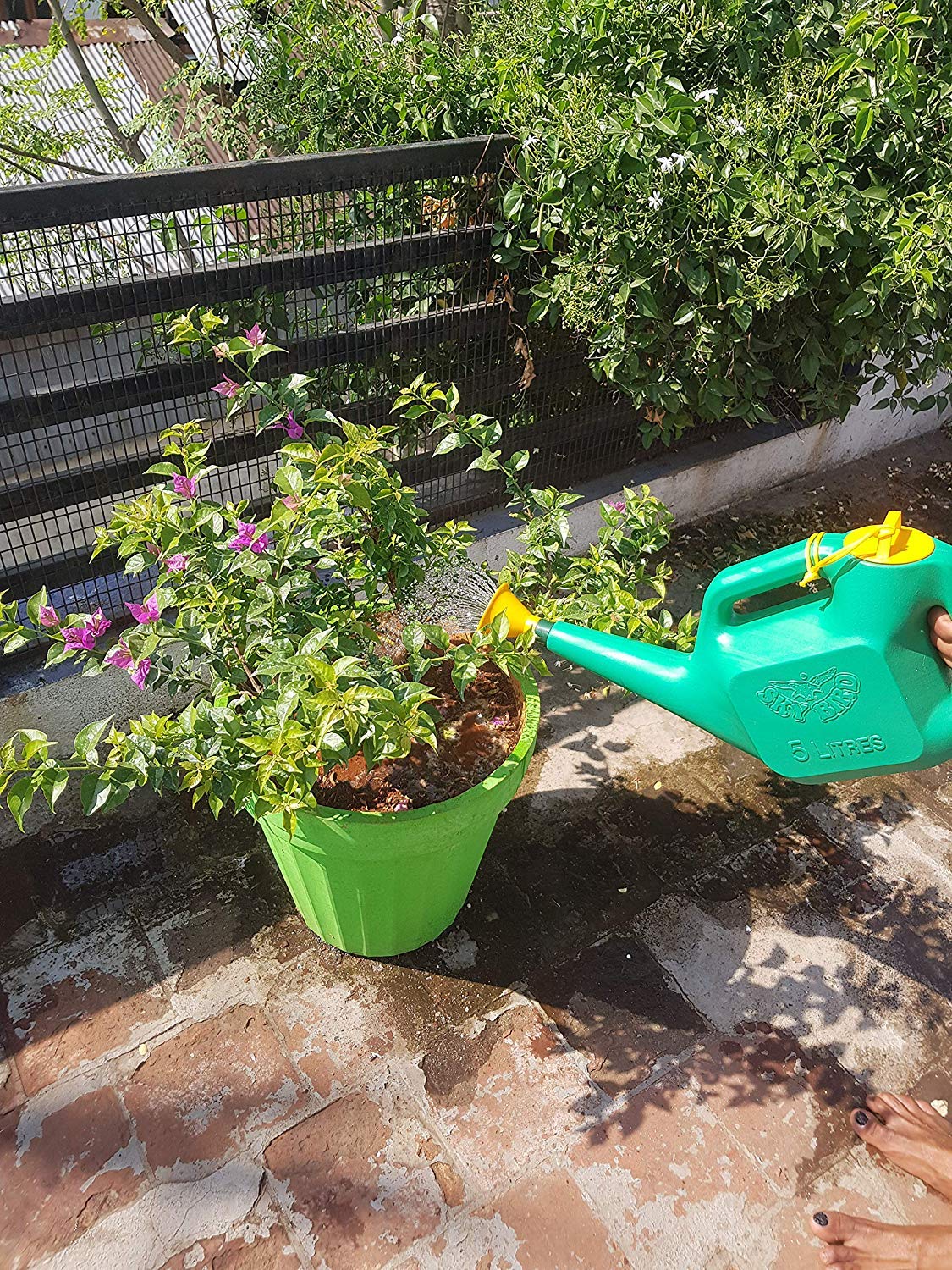 Watering Can (5-Liter) For Smooth Water and Shower Plants