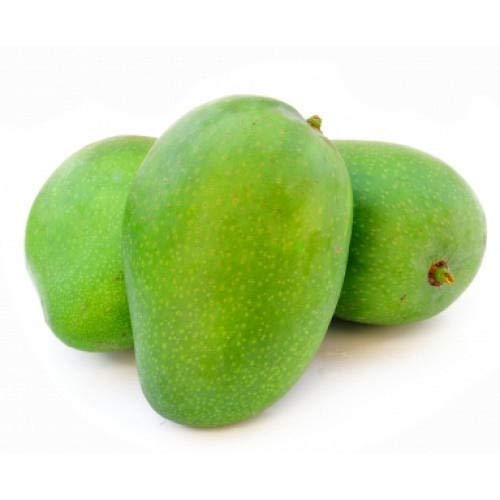 Exclusive Rajapuri Mango Plant Grafted Plant
