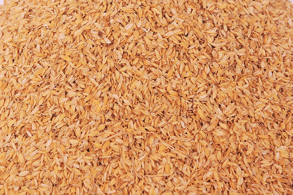 Rice Hulls Paddy Husk, 1 Kg (Yellow)