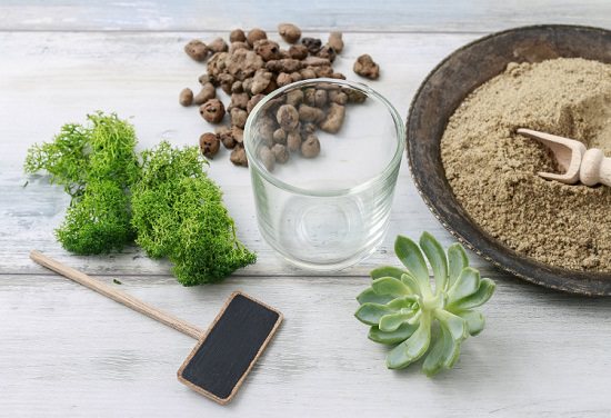 Natural River Sand White Sand Used to Make Ideal soilmix for Bonsai Cactus and Succulents Also for Aquariums terrariums Mini Landscapes and fairygarden