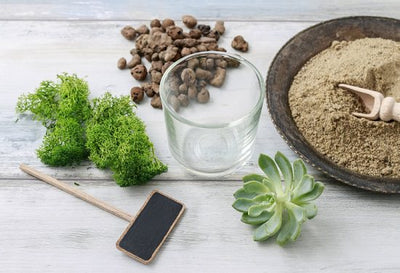 Green Paradise Natural River Sand White Sand (3 KG) Used to Make Ideal soilmix for Bonsai Cactus and Succulents Also for Aquariums terrariums Mini Landscapes and fairygarden (3 KG)