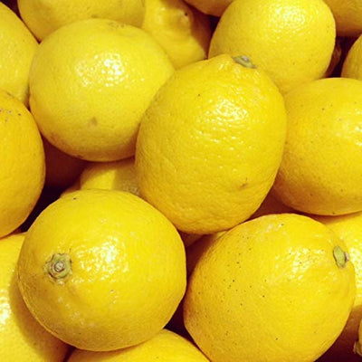 Sharbati Lemon F1 Quality Seeds (pack of 10 seeds)